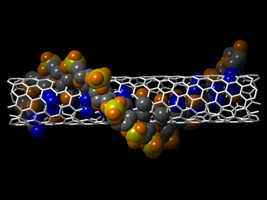 DNA + Nanotube